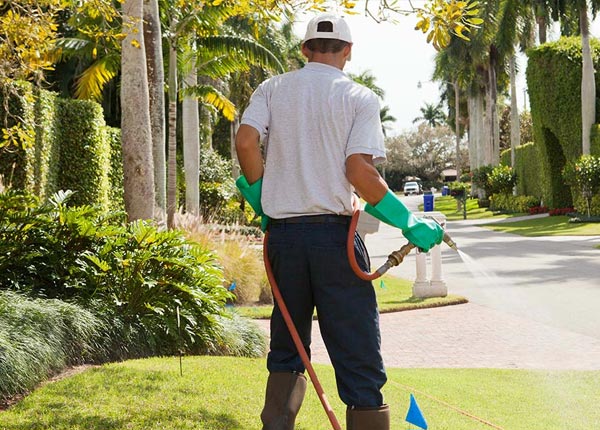 About Institute WV Pest Control